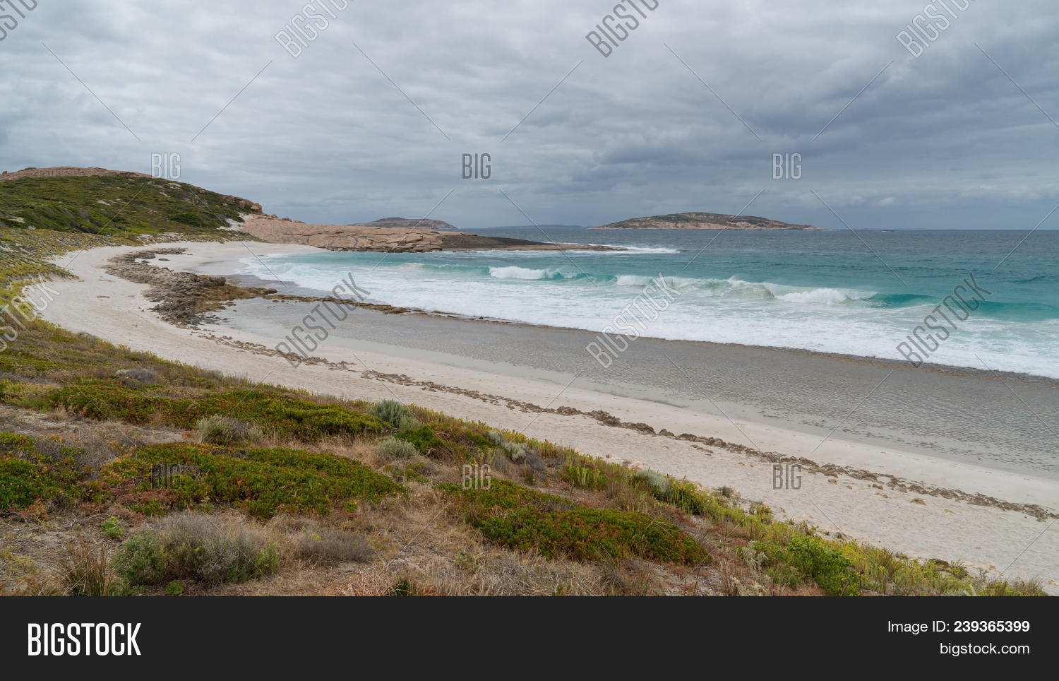 Salmon Beach Close Image & Photo (Free Trial) Bigstock