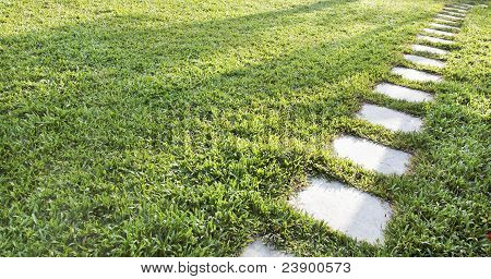 Diagonale Stepping Stones Accross A lussureggiante verde prato