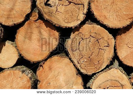 Pattern Of Wooden Beams In Heap. Thick Beams