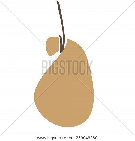 Smoked Provola Cheese, Food Illustration In Vintage Style