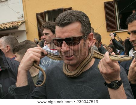 Cocullo, Italy - May 1, 2018: The Famous Feast Of Serpari Or Saint Dominic In The Cocullo Village. P