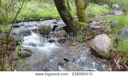 Stream Of The Gargantilla In The Maliciosa Nature Reserve In Madrid. Wild Landscape With Water Strea