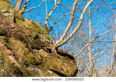 View Of The Rock Covered With Moss, Goryachy Klyuch, Russia. Copy Space For Text