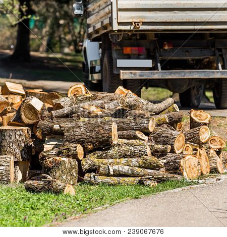 Heap Of Wooden Logs In A City Park In Goryachy Klyuch, Russia. Copy Space For Text
