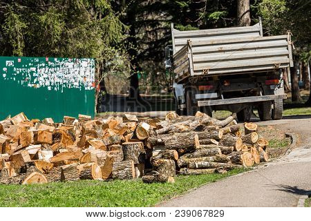 Heap Of Wooden Logs In A City Park In Goryachy Klyuch, Russia. Copy Space For Text
