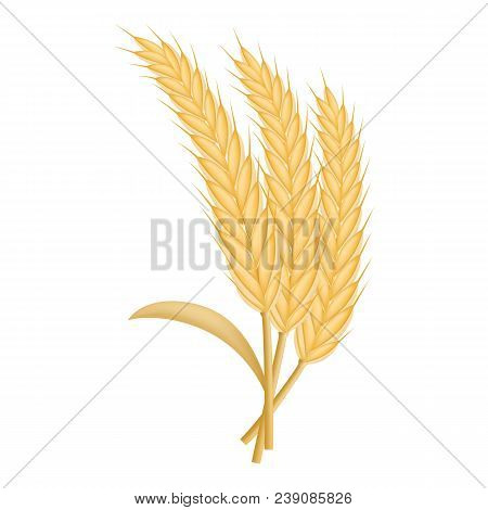 Eco Wheat Icon. Realistic Illustration Of Eco Wheat Vector Icon For Web Design Isolated On White Bac