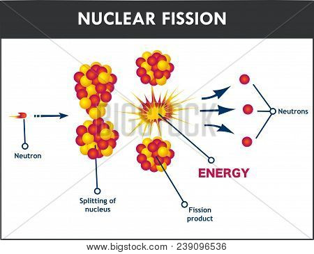 Vector Illustration Of A  Nuclear Fission Process