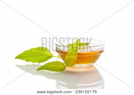 Damiana Tea In Glass Cup With Fresh Turnera Diffusa Leaves Isolated On White Background.