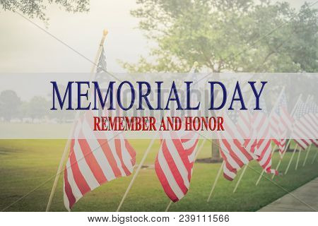 Text Memorial Day And Honor On Row Of Lawn American Flags