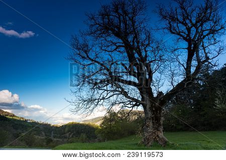Regional Nature Park Of The Azure Prealps, France