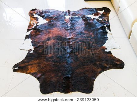 Leather Lying On The Field, Cowhide Skins, Animal Abuse