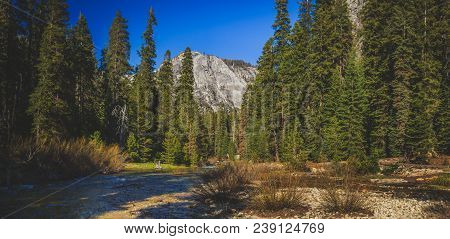 Marble Fork Kaweah River Winding Through The Dense Forest With A Mountain In The Background Along Th