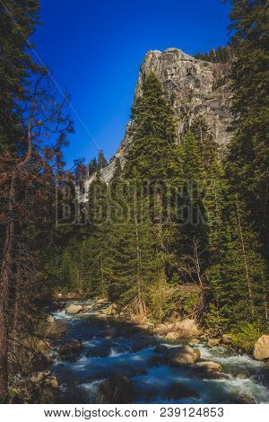 Tranquil Marble Fork Kaweah River Flowing Through The Lush Forest With A Mountain In The Background 