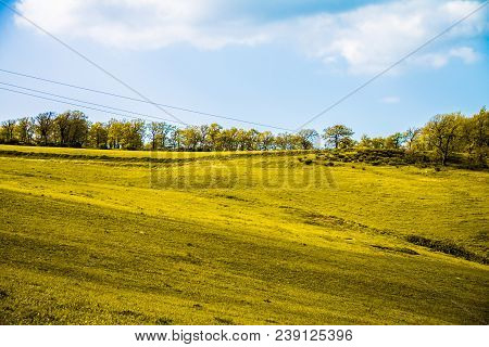 Sky And Grass Background, Fresh Green Fields Under The Blue Sky In Spring