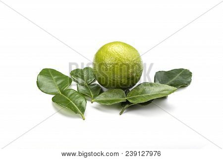 Citrus Lime And Leaves Isolated On White Background
