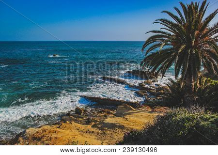 Gorgeous Oceanfront View With Palm Trees And Rock Formations On A Sunny Day With Clear Sky, Laguna B