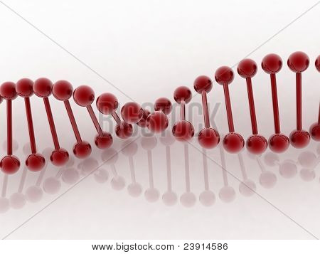 DNA