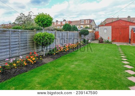 View Of A Typrical Semi Detatched Backgarden With Lawn And Flower Bed And. Wooden Fence.
