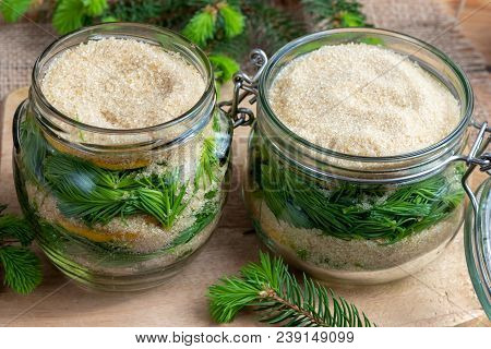 Two Jars Filled With Young Spruce Tips, Lemon And Cane Sugar, To Prepare Homemade Syrup Against Coug
