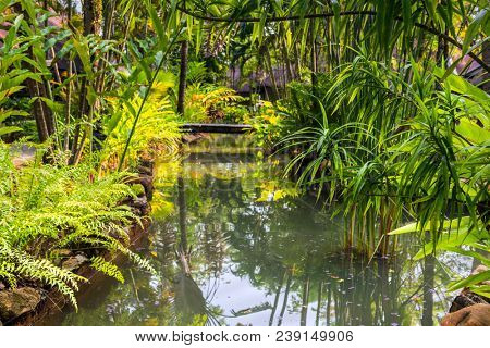Landsaft design pond at the thailands park at koh Chang island