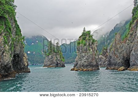 Misty Ocean Bay