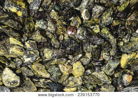 Wet Small Gray-green Stones Of Heterogeneous Structure, Background