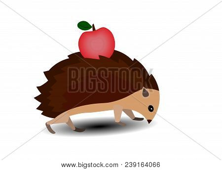 The Hedgehog Carries An Apple On Its Back.