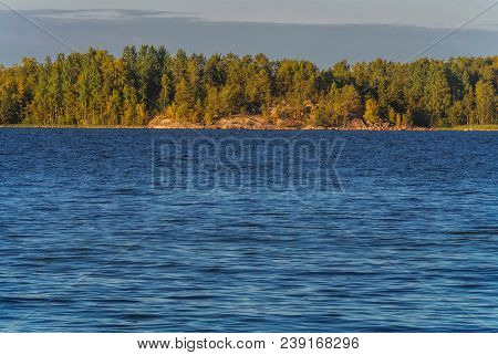 The View To The Pine Trees And Rocks Of One Islend On The Ladoga Lake