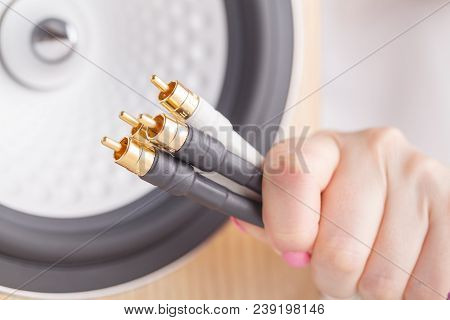 Input Rca Connectors On The Back Of Loudspeaker