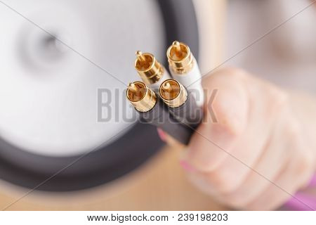 This Cinch Connectors Are Used To Carry Analog Audio, Analog Video And Digital Audio Signal .