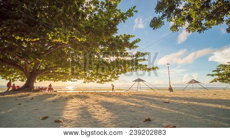 Tourists Under A Large Deciduous Tree Of Life With Red-green Leaves. The Rays Of The Morning Sun Thr