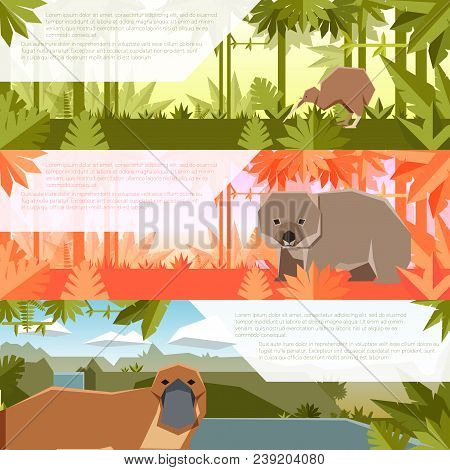 Vector Image Of The Set Of Flat Banners With Australian Animals Qiwi, Wombat And Platypus