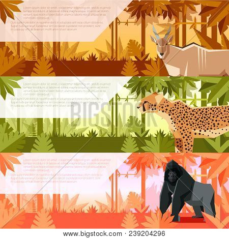 Vector Image Of The Set Of Flat Banners With African Animals Antelope, Cheetah And Gorilla