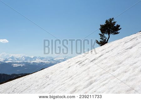 Mountains Of French Pyrenees Between Ascou And Camurac