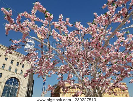 Moscow, Russia - April 14. 2018. Artificial Flowering Tree In Lubyanskaya Square During A Festival E