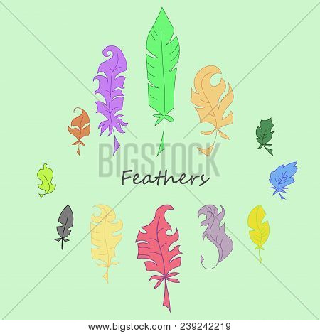Feathers Colorful Vector Set In A Flat Style.
