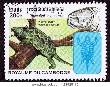 Annullato il francobollo cambogiano testa tartaruga, Platysternon Megacephalum arrampicata Branch