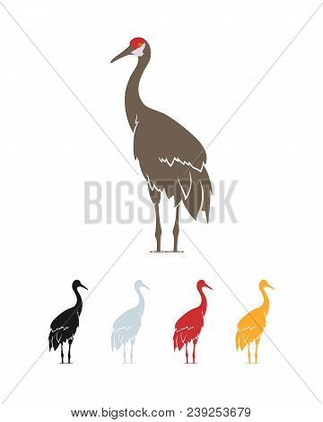 Vector Illustration Of Stork. Silhouettes Of Storks Or Cranes In Various Colors.