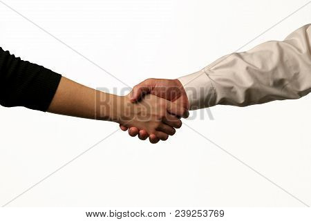 Man And Woman Shaking Hands In Agreement.