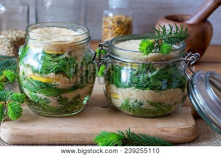 Two Jars Filled With Young Spruce Tips, Lemon And Cane Sugar, To Prepare Homemade Syrup Against Coug