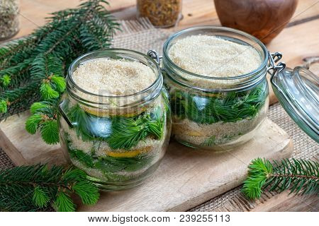 Two Jars Filled With Young Spruce Tips, Lemon And Cane Sugar, To Prepare Homemade Syrup Against Coug