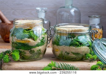 Two Jars Filled With Young Spruce Tips, Lemon And Cane Sugar, To Prepare Homemade Syrup Against Coug