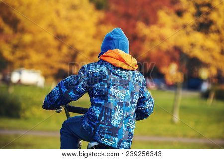 European Boy Is Riding On The Bicycle In The Autumn City Pak. Backview.