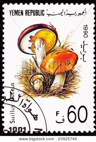 Francobollo annullato yemenita ciuffo scivoloso Jack funghi Suillus Luteus