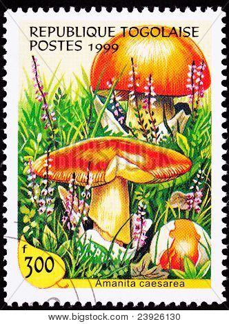 Togo posta pulu Sezar'ın mantar, Amanita Caesarea Fox eldiven iptal