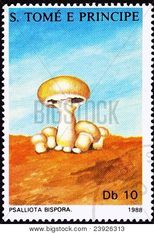 São Tomé Postage Stamp Button Mushroom, Agaricus Bisporus Psalliota Bispora