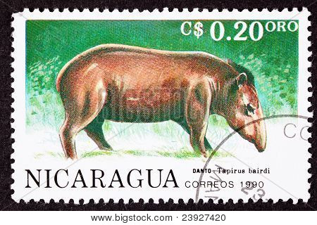 Canceled Nicaraguan Postage Stamp Side View Standing Tapir, Tapirus Bairdi