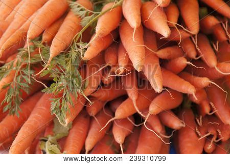 Box Of Red Carrots Piled Up For Sale Ortolan