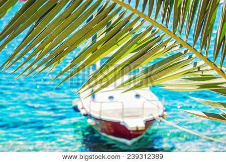Beautiful Palm Tree And Little Boat In Maslinica, Solta Island, Croatia. Summer Vacation Destination