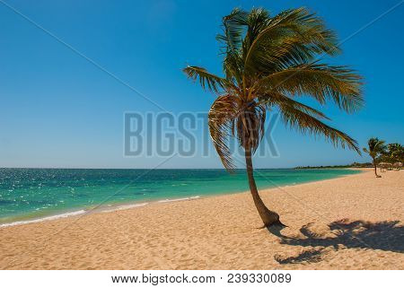 Panorama Of Wide, Sandy Beach On A Tropical Island With A Coconut Palm Tree. The Beautiful Beach Of 